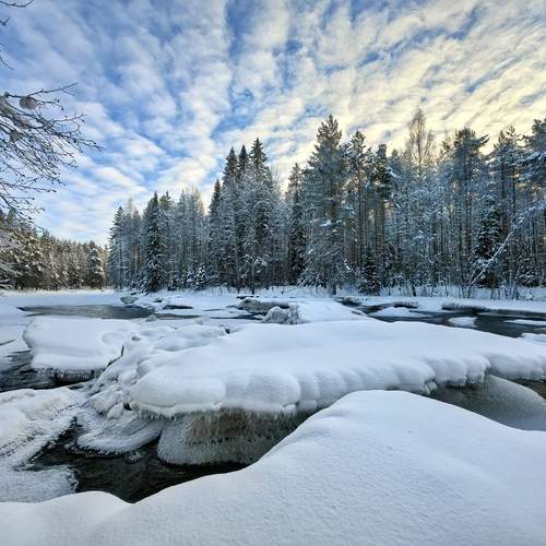 Winter beauty