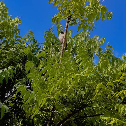 Фотография #13206913