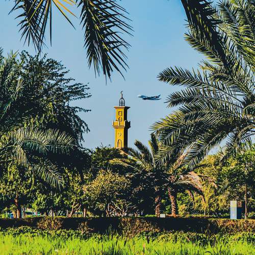 Фотография #13206914