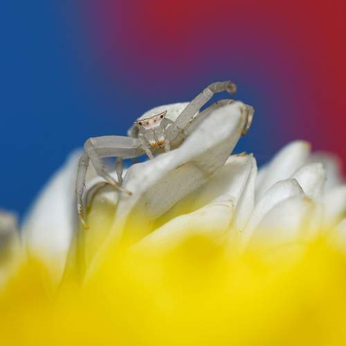 Photo #13207030