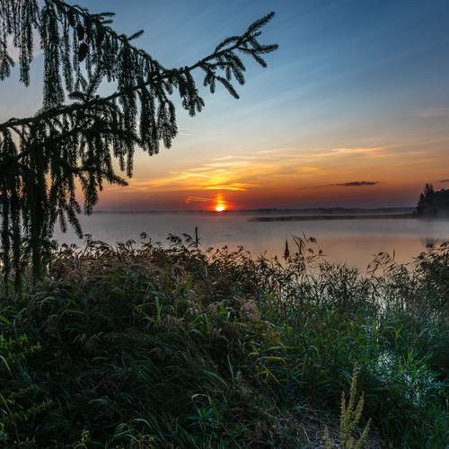 Photo #13207044
