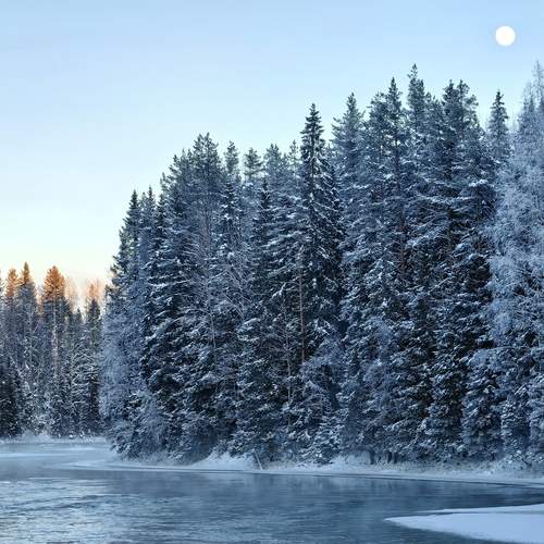 Winter moonlit evening