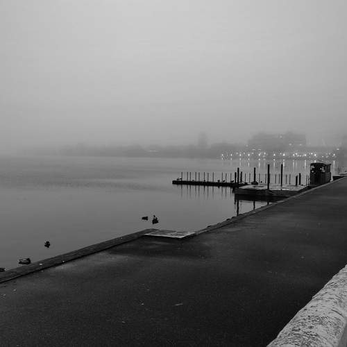 Photo #13207158