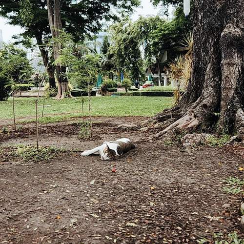 Photo #13207160