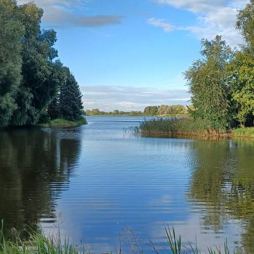 Photo #13207165
