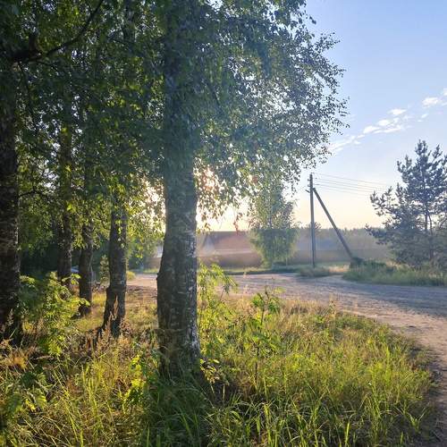 Photo #13207284