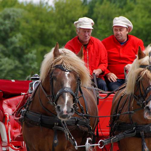 Photo #13207453