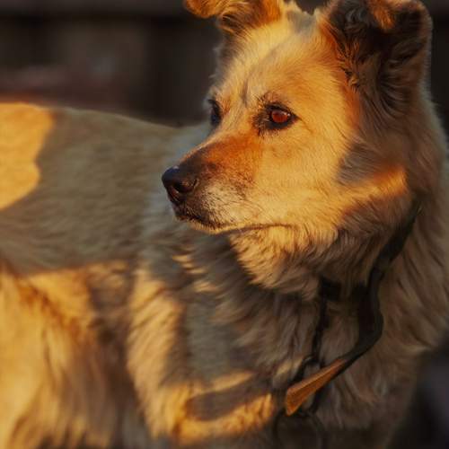 Photo #13207514