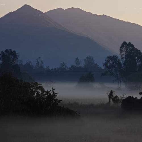 Photo #13207721