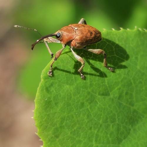 Photo #13207922