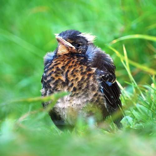 Фотография #13207943