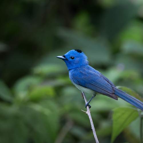 Фотография #13207989