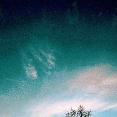 Photo #13208028