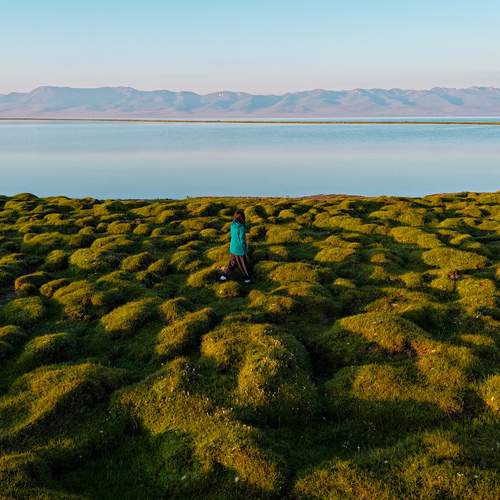 Photo #13208181