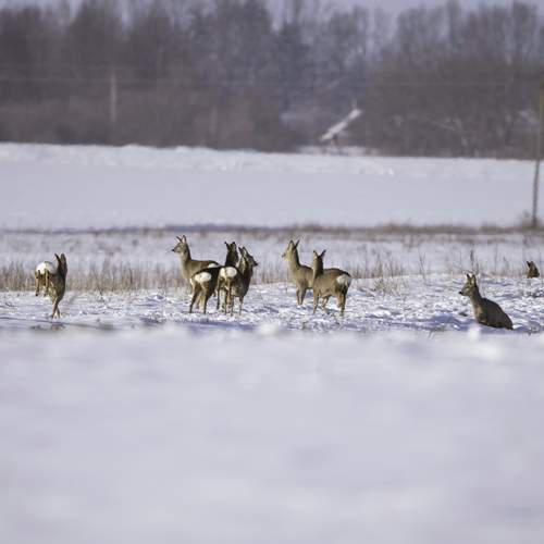 Photo #13208242
