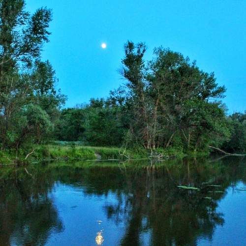 Photo #13208253