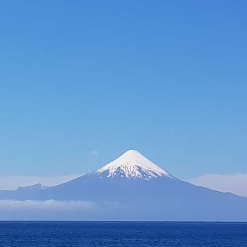 Photo #13208398