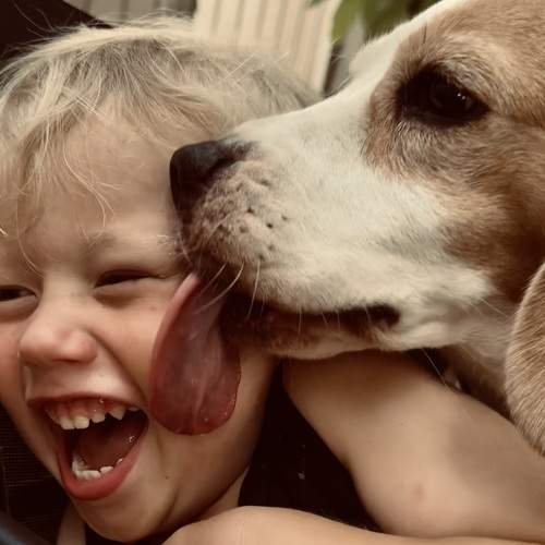Photo #13208419