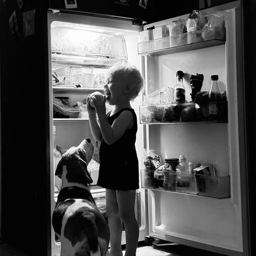 Photo #13208420