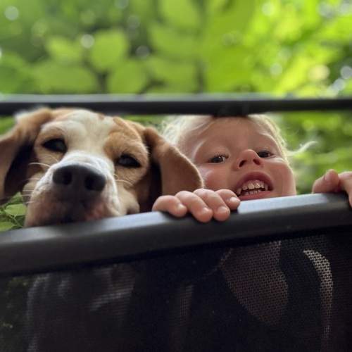 Photo #13208422