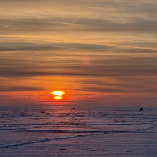 Photo #13208442