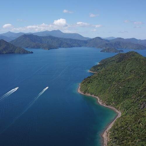 Photo #13208493