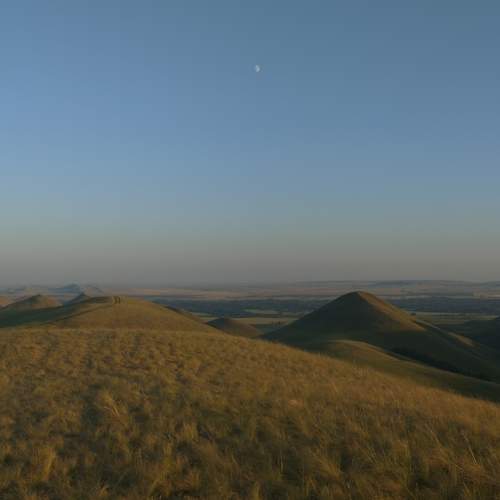Photo #13208534