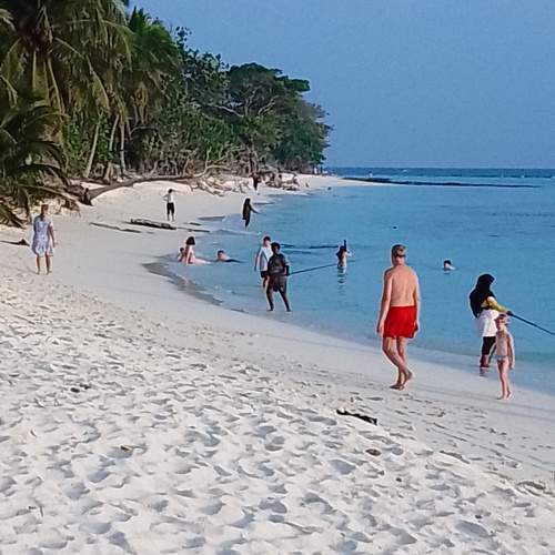 Photo #13208607