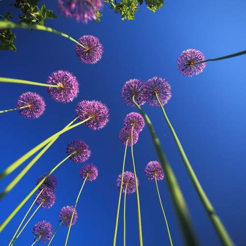 Фотография #13208620