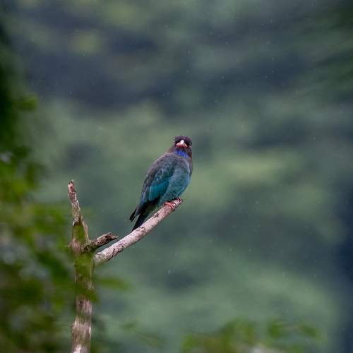 Фотография #13208689