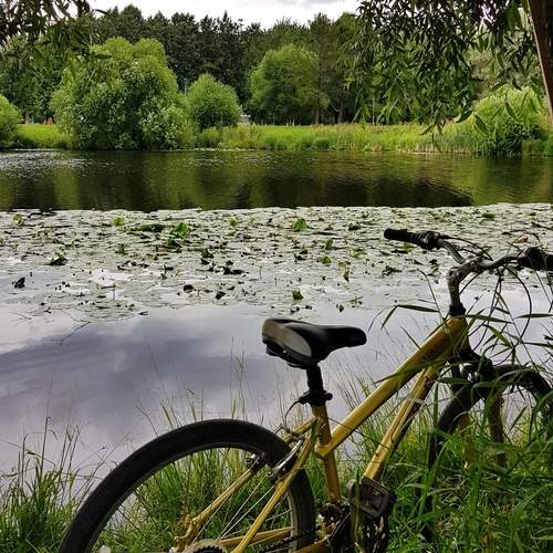 Photo #13208755