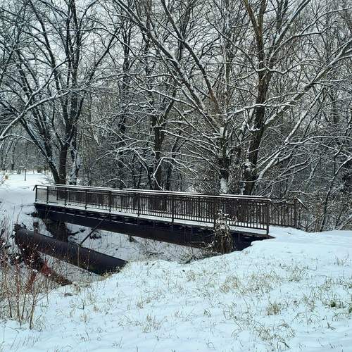 Photo #13208784