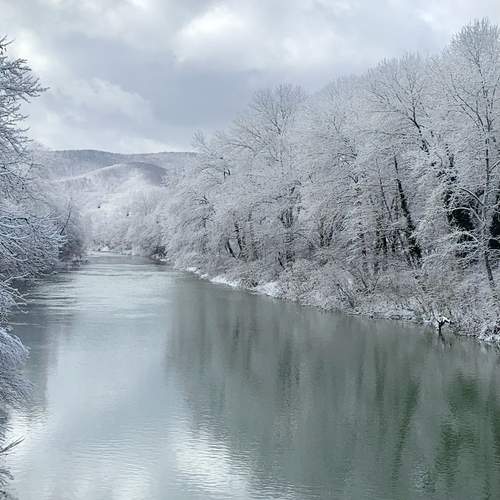 Фотография #13208827