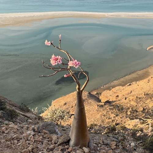 Photo #13208897