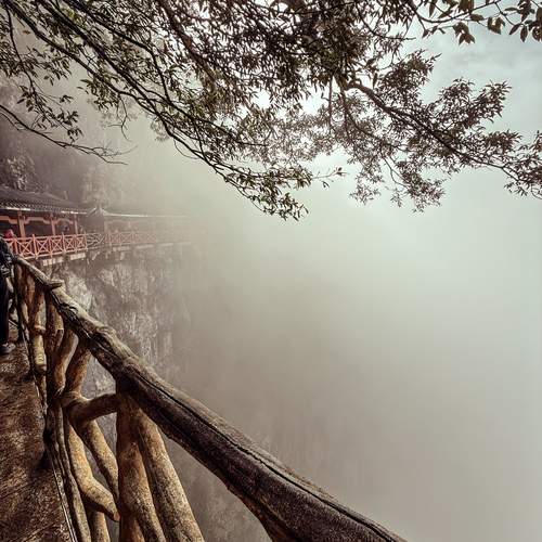Photo #13208899