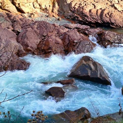 Photo #13209079