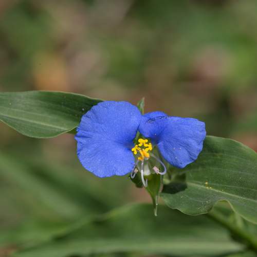 Photo #13209264