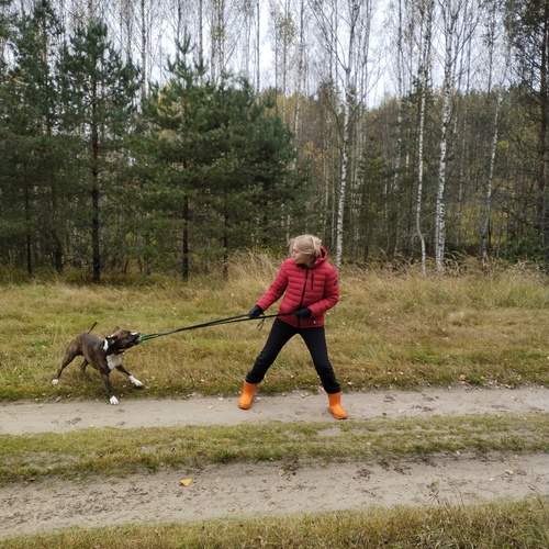 Photo #13209331