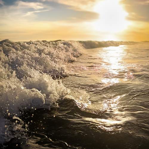 Photo #13209365