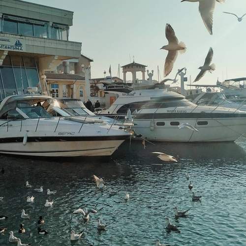 Photo #13209394