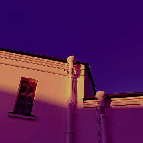 Photo #13209489