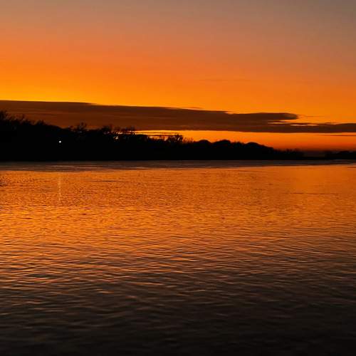 Photo #13209555