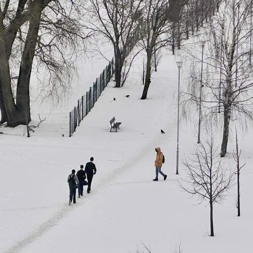 Photo #13209680