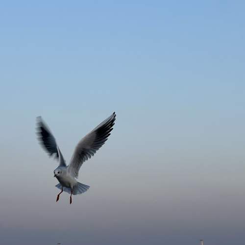 Photo #13209708