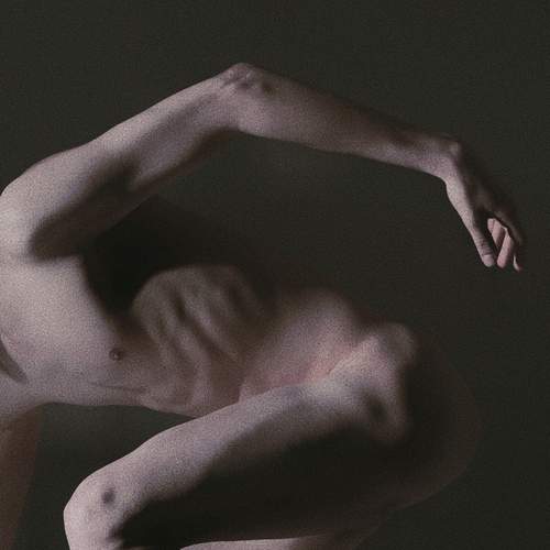 Photo #13209709