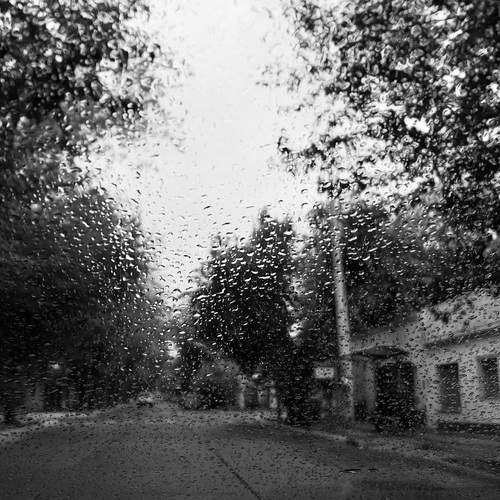 Photo #13209863