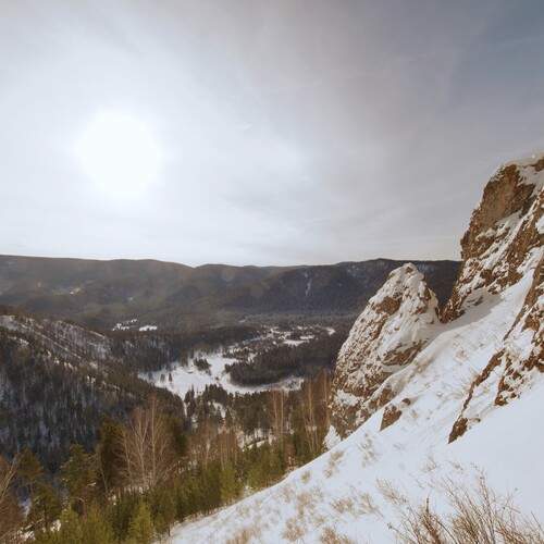 Photo #13209916
