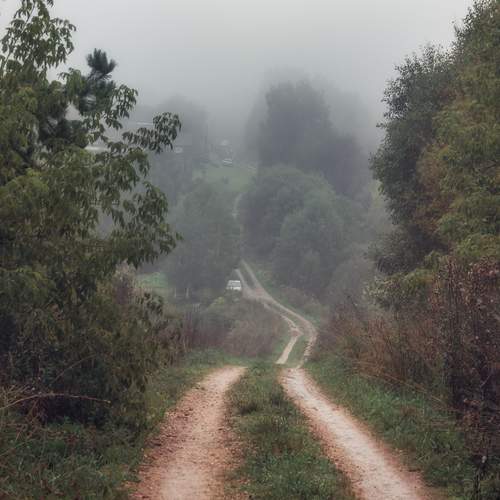 Photo #13209942