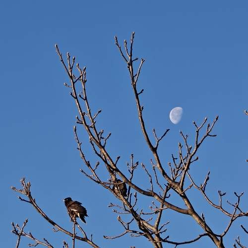 Photo #13209957