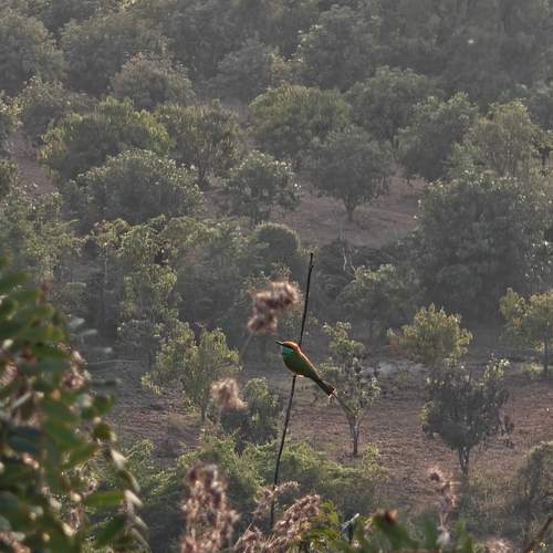 Photo #13209959